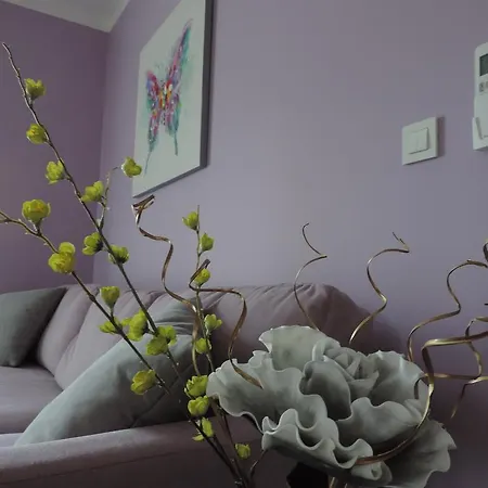 Apartman Tajana Zadar